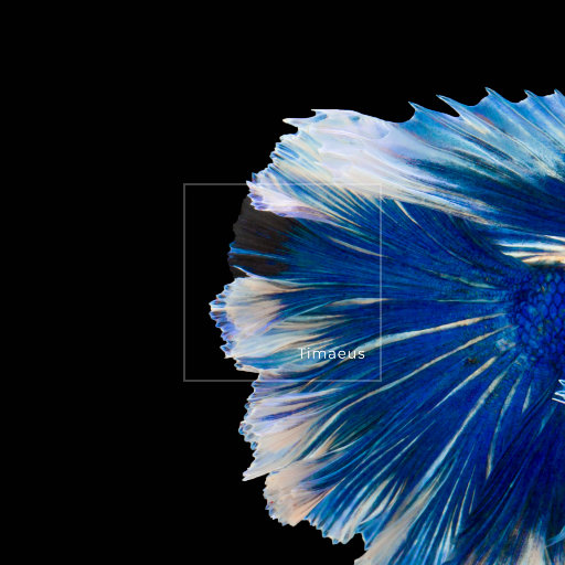 五月天丁香激情
